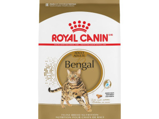 chaton-royal-canin-bengal