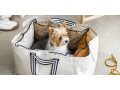 panier-pour-chien-pliable-ikea-small-0