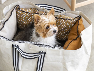 panier-pour-chien-pliable-ikea