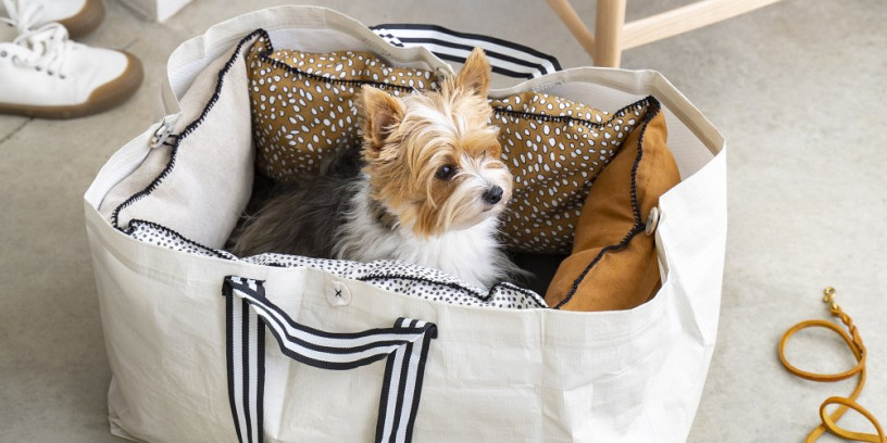 panier-pour-chien-pliable-ikea-big-0