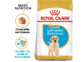 chiot-labrador-royal-canin-offert-croquettes-small-0