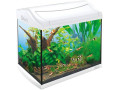 bocal-daquarium-eheim-et-accessoires-tetra-small-0