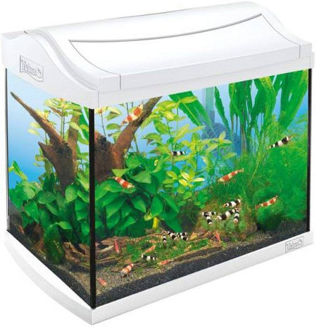 bocal-daquarium-eheim-et-accessoires-tetra-big-0