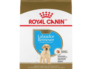 chiot-labrador-royal-canin-offert