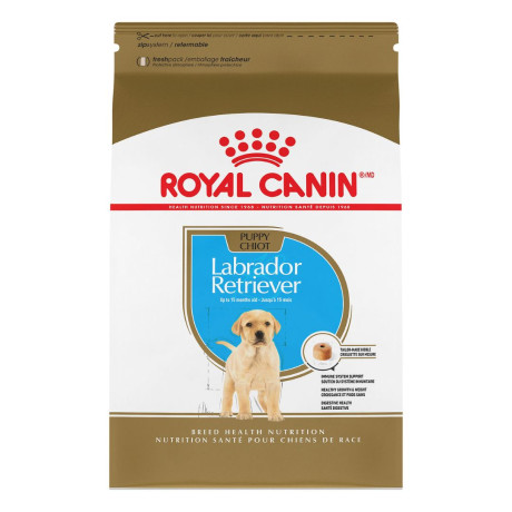 chiot-labrador-royal-canin-offert-big-0