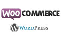 developpeur-web-freelance-expert-wordpress-woocommerce-small-0