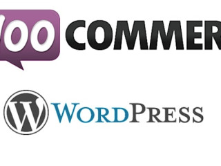 developpeur-web-freelance-expert-wordpress-woocommerce