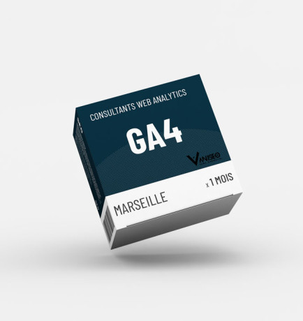 consulting-seo-et-strategie-web-expert-google-analytics-big-0