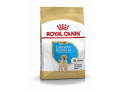 chiot-royal-canin-croquettes-junior-labrador-small-0