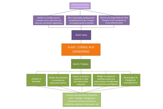 audit-et-conseil-financier-expertise-entreprise-big-0