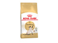 royal-canin-chaton-siamois-de-3-mois-small-0