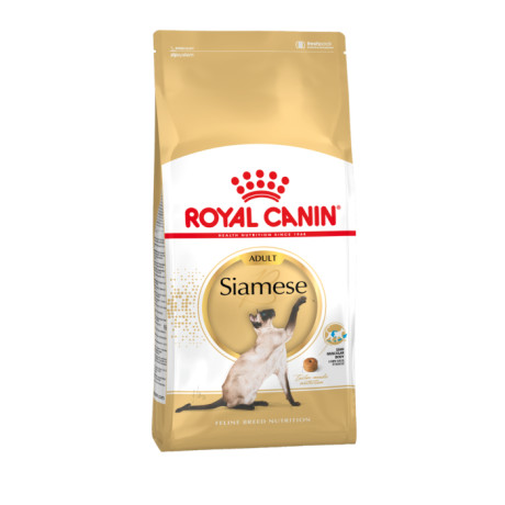 royal-canin-chaton-siamois-de-3-mois-big-0