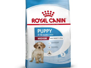 chiot-royal-canin-croquettes-premium-junior