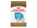 chiot-labrador-royal-canin-offert-small-0