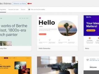 creation-de-site-vitrine-professionnel-wordpress