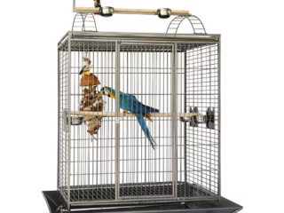 perroquet-ara-arauna-eleve-main-cage-ferplast-inclus