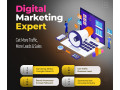 consulting-seo-et-marketing-digital-expert-google-ads-small-0