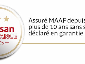 artisan-qualifie-pour-depannage-et-petits-travaux