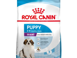 chiot-royal-canin-croquettes-premium-pour-adulte