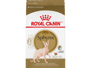 chaton-sphynx-pure-race-elevage-royal-canin-certified