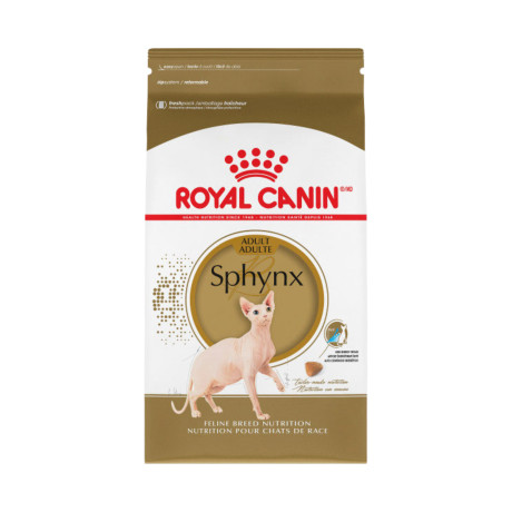 chaton-sphynx-pure-race-elevage-royal-canin-certified-big-0