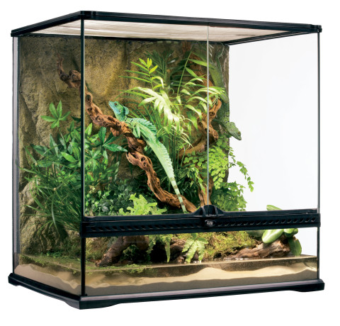 terrarium-exo-terra-60x45x60-avec-decor-complet-big-0