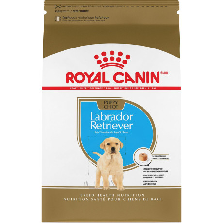 chiot-labrador-royal-canin-offre-pack-alimentation-premium-big-0