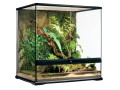 terrarium-exo-terra-60x45x60-complet-avec-python-royal-small-0