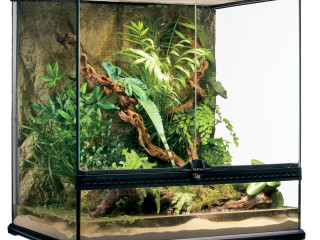 terrarium-exo-terra-60x45x60-complet-avec-python-royal