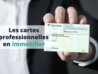 agent-commercial-carte-professionnelle-secteur-residentiel