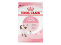 chaton-royal-canin-felin-royal-small-0