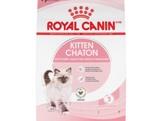 chaton-royal-canin-felin-royal