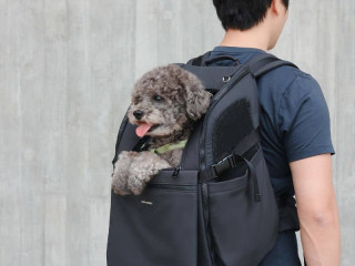 sac-de-transport-pour-chien-sac-a-dos-en-avion-travel-air