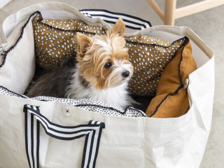 panier-pour-chien-design-ikea-type-kramig