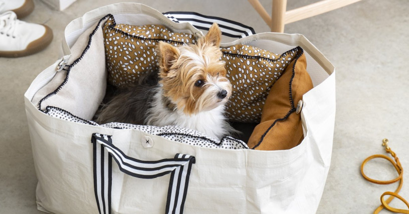 panier-pour-chien-design-ikea-type-kramig-big-0
