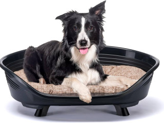 panier-pour-chien-ferplast-geo-comfort-taille-l