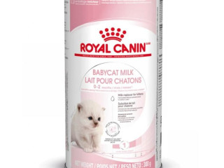 chaton-royal-canin-vaccine-et-sevre
