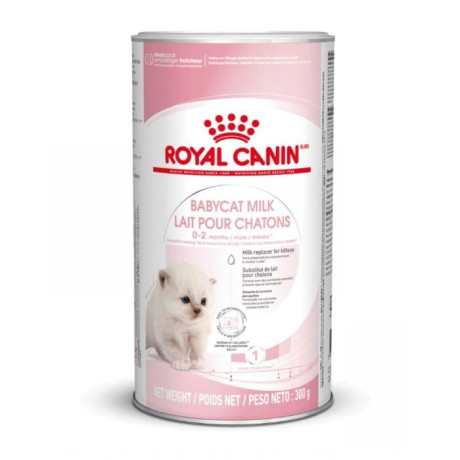 chaton-royal-canin-vaccine-et-sevre-big-0