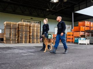 agent-de-securite-hf