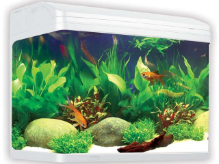aqua-one-aquastyle-620-aquarium-complet-avec-poissons