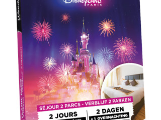 vends-pack-2-nuitees-hotel-disneyland-paris