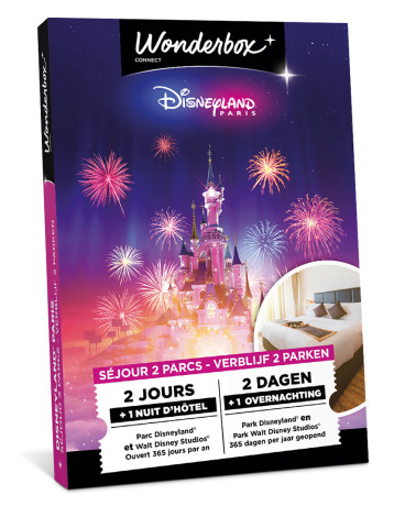 vends-pack-2-nuitees-hotel-disneyland-paris-big-0