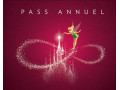 vente-carte-annuelle-disneyland-paris-acces-illimite-small-0