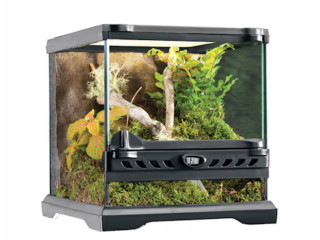 terrarium-exo-terra-pour-reptile-python-royal