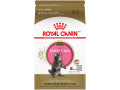 chaton-royal-canin-maine-coon-small-0