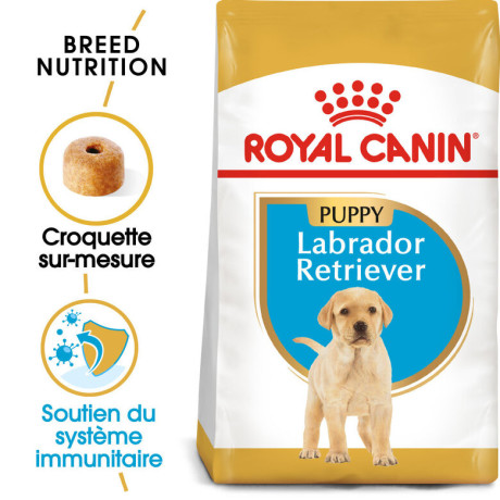 chiot-labrador-royal-canin-offert-big-0