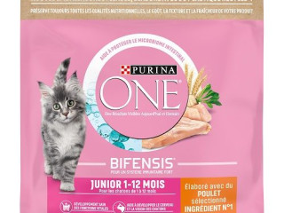 chaton-royal-canin-et-croquette-purina-one