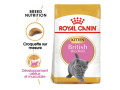 chaton-royal-canin-british-shorthair-bleu-small-0