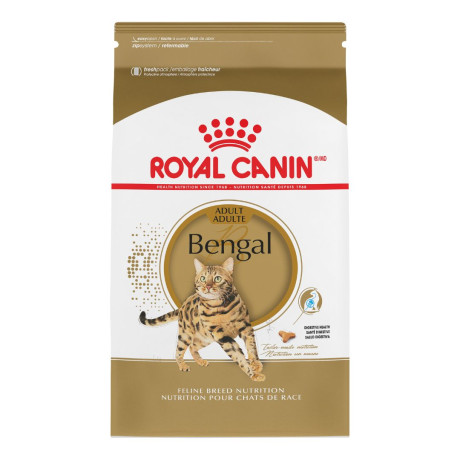 chaton-royal-canin-bengal-big-0