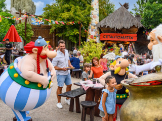 vends-10-places-parc-asterix-entree-2-jours-pour-famille